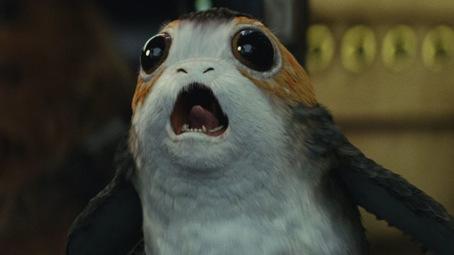 PORG.jpeg