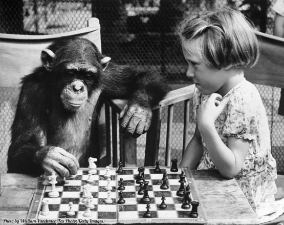 a-young-girl-from-brighton-plays-a-game-of-chess-with-fifi-the-chimpanzee-at-london-zoo-1955.jpg