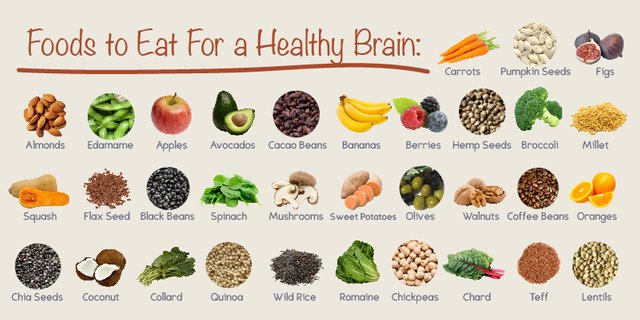 healthy brain.jpg