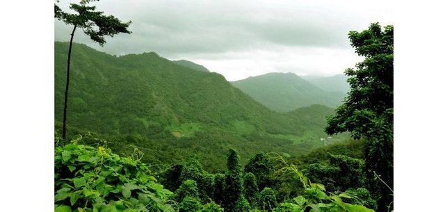 WESTERN_GHATS_KAKKAYAM.jpg