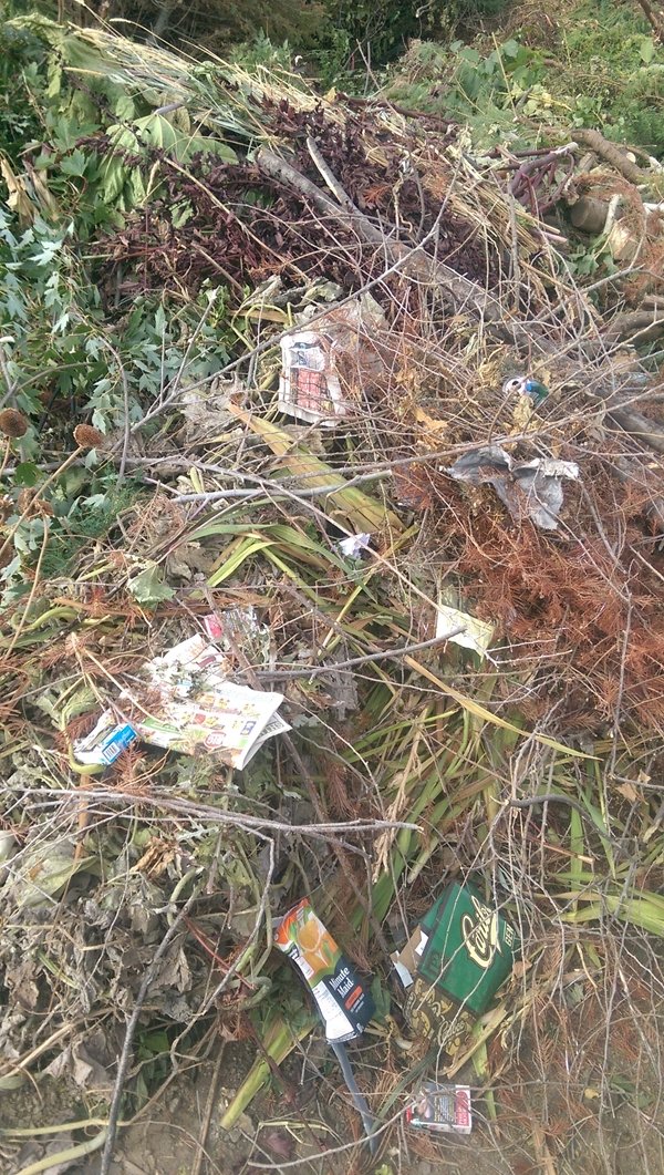 Trash in green waste.jpg
