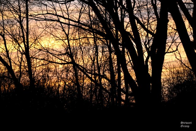 Woods Sunset.JPG