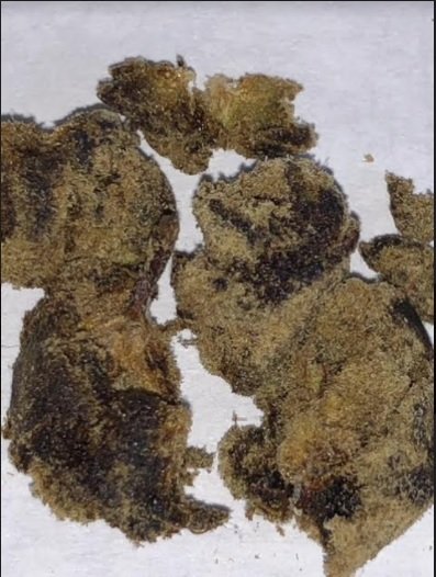 moonrock4.jpg