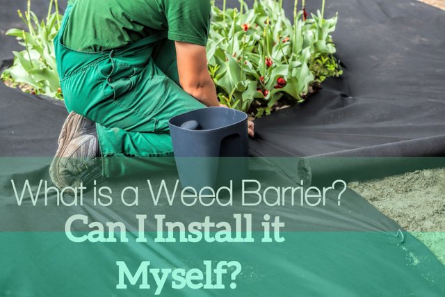 What is a Weed Barrier Can I Install it Myself.jpg