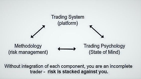 The Component Of Successful Trading.jpg