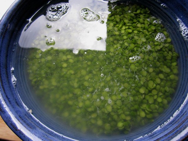 Pea Soup 1j.jpg