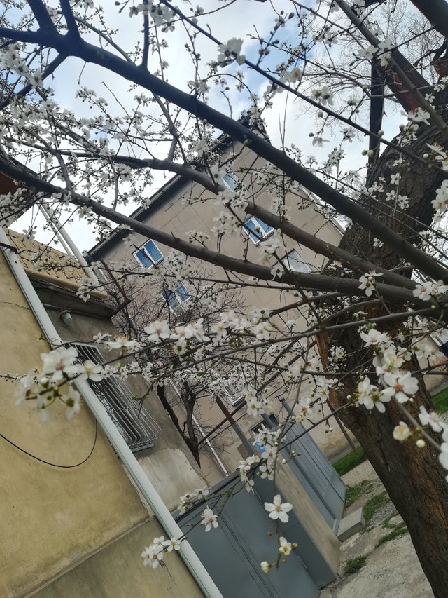 IMG_20180311_165437.jpg