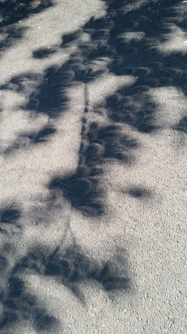 20170821_102554.jpg