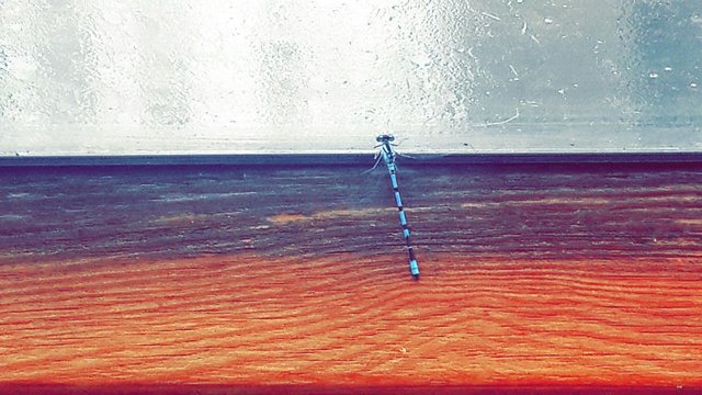 20180118_152736.jpg