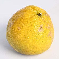 4_1_1_ugli_fruit.jpg