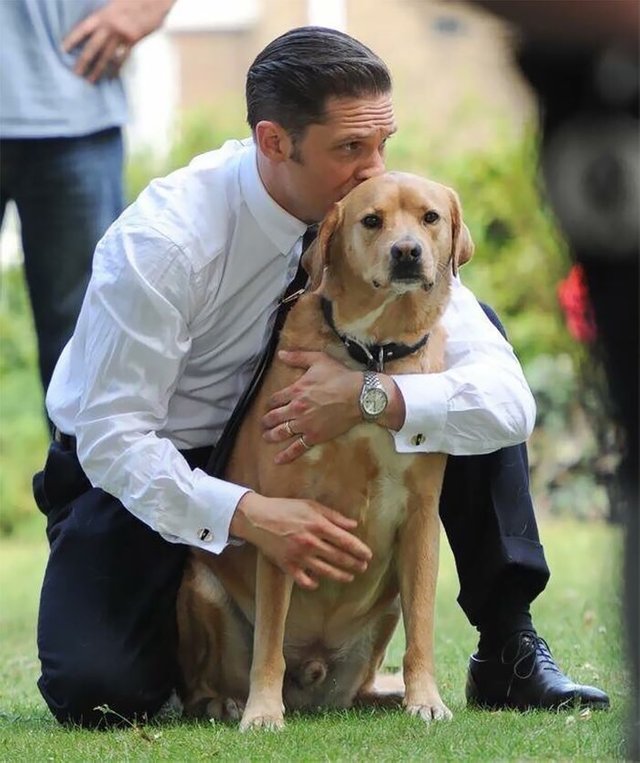 love-for-dogs-tom-hardy-59bf7825ca31a__700.jpg