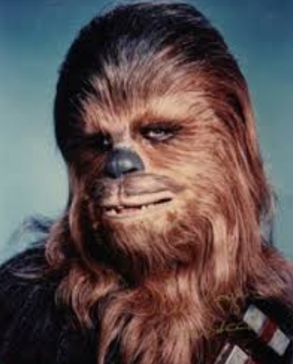 chewbacca.PNG