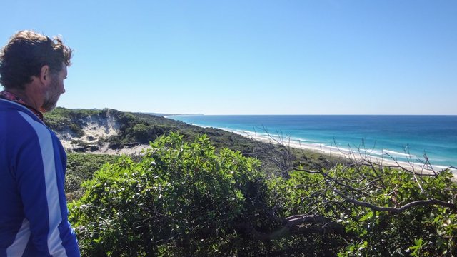 Moreton-2016-06-25-100_copy.jpg
