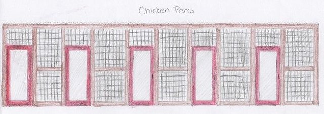 Chicken_Pens.jpg