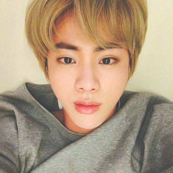 Seokjin.jpg