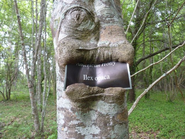 image 6.jpg