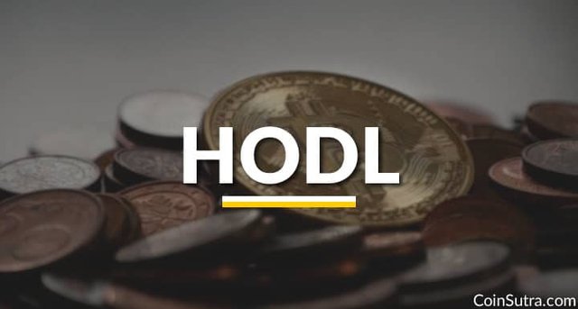 HODL-in-the-Cryptocurrency-World.jpg