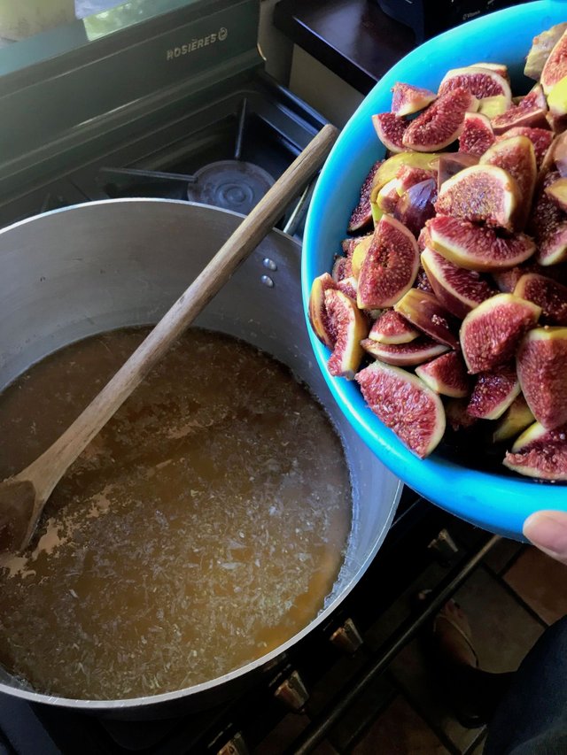 liquid and figs.jpg