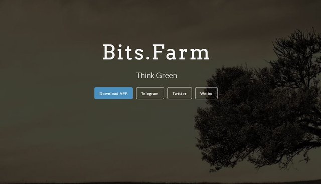 bitsfarm online.JPG