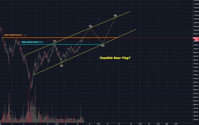 Bear Flag Possible Waves.png