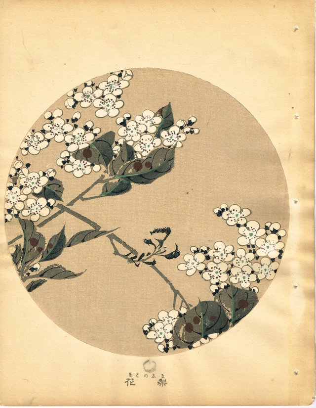 Pear Blossoms Ito Jakuchu.jpg