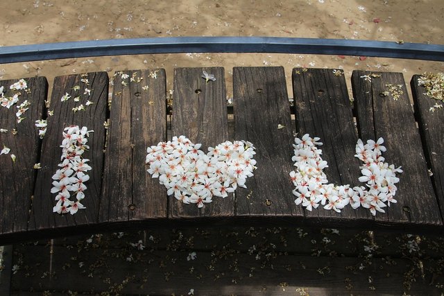 miaoli-tung-flowers-1777850_960_720.jpg