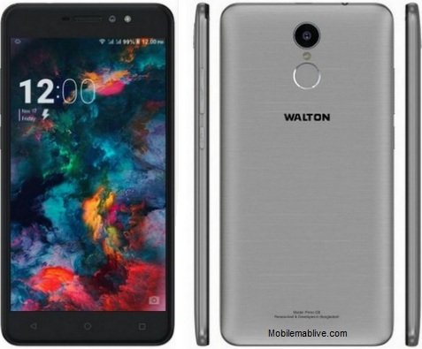 Walton    Primo G8.jpg