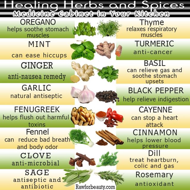 medicinal foods.jpg