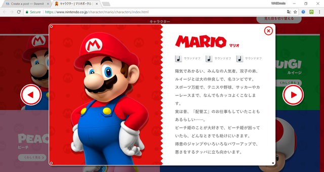 Mario's Japanese Bio.png