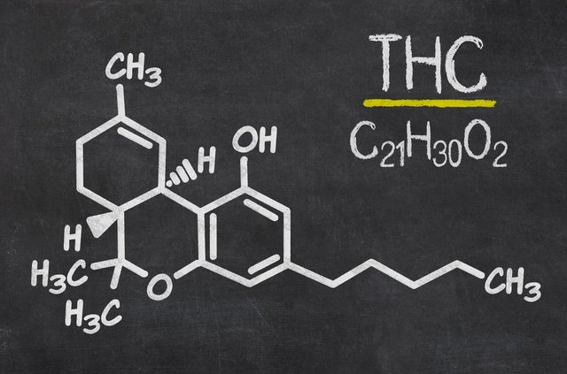 THC (1).JPG