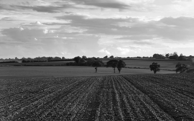 ploughed-field-countryside.jpg