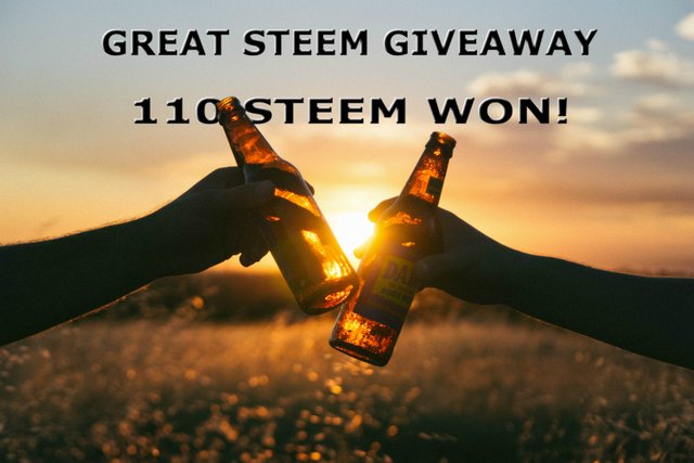 Steem giveaway winner card.jpg