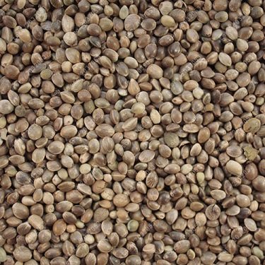 100-pcs-bag-Japanese-Rainbow-Hemp-Seeds-Rare-Flower-Seeds-Bonsai-Hemp-Plants-seeds-vegetables-herb.jpg