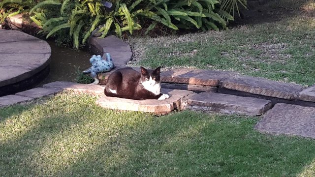 20160908_164518.jpg