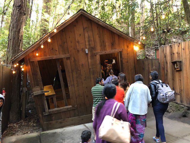 My trip to Mystery Spot Santa Cruz Steemit