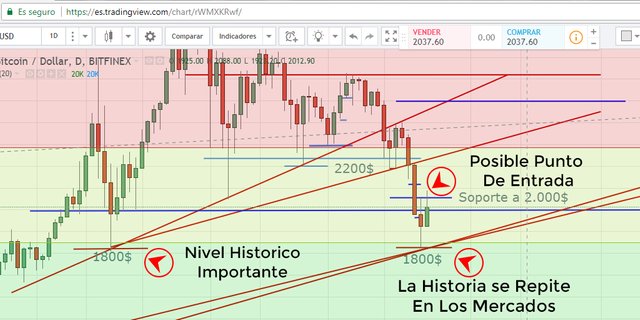 lamina-1-steemit.jpg