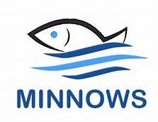 minnow.jpg