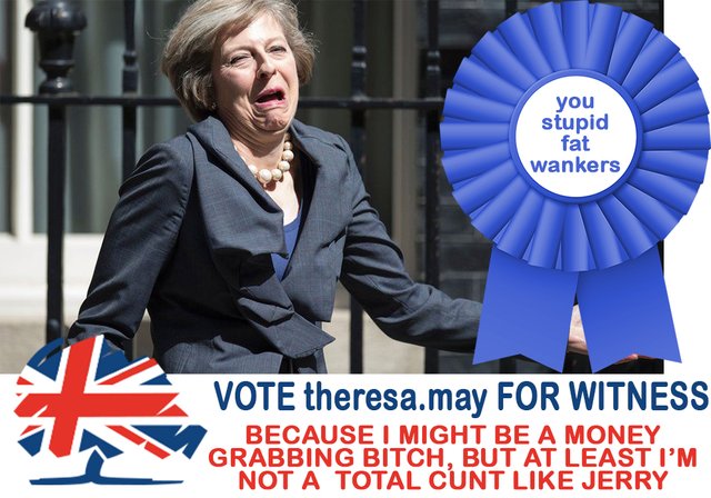 theresa local election win.jpg