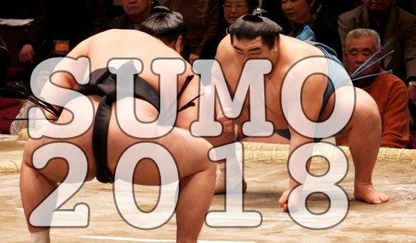 1 sumo.jpg