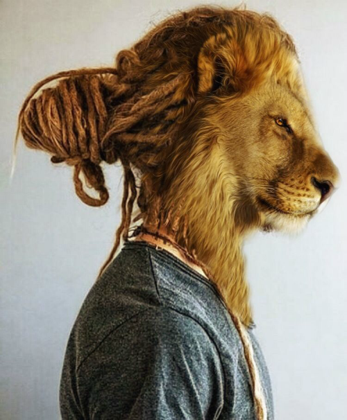 @munadikiehl_DreadlockLion_4thPlace.png