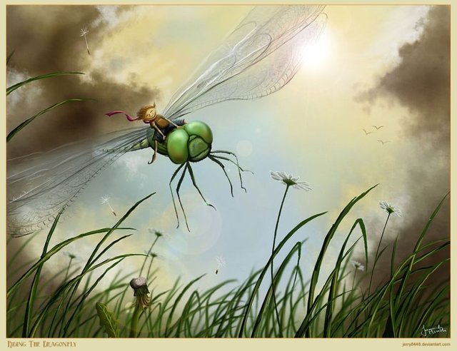 jeremiah morelli Riding_The_Dragonfly.jpg