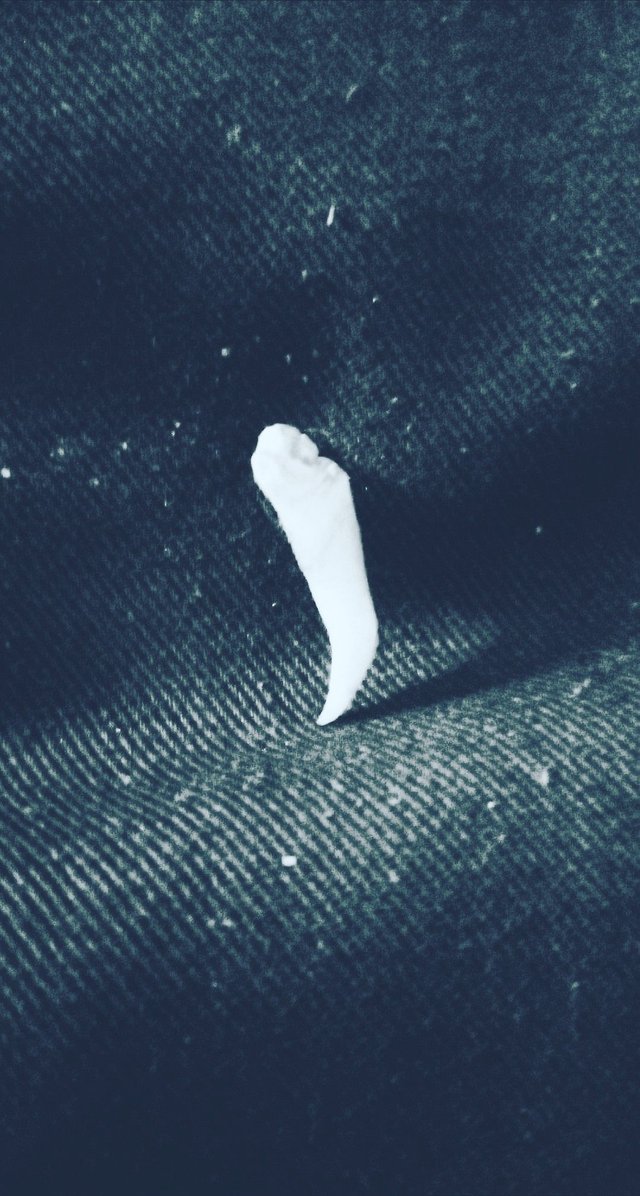 IMG_20180212_183956.jpg
