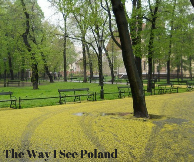 The Way I See Poland.png