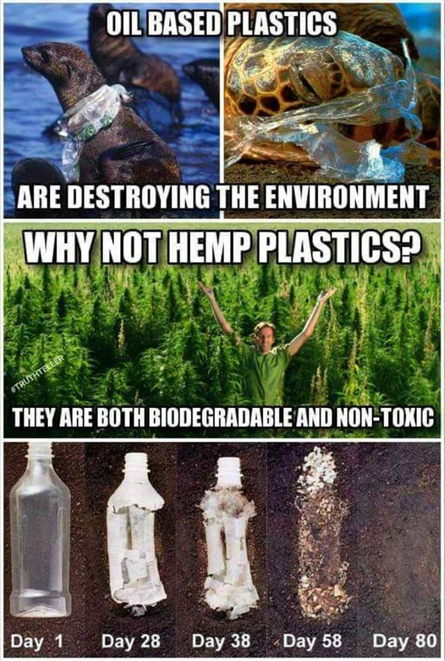 Hemp_plastic.jpg