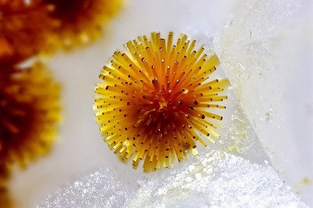 Minerals14.jpg