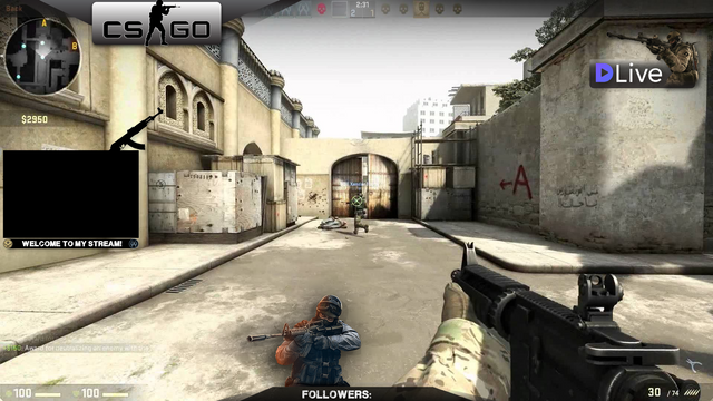 CS_GO_Overlay-01.png