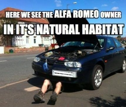 alfa-romeo-owner-car.jpg