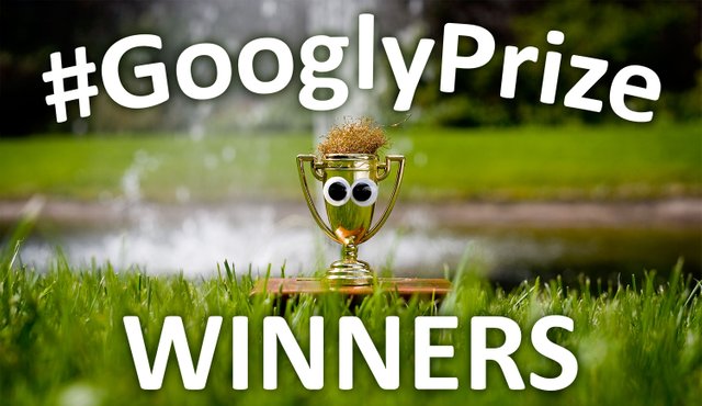 GooglzPriye Winners 11