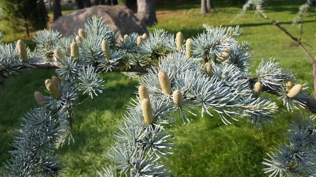 20170910_162145.jpg