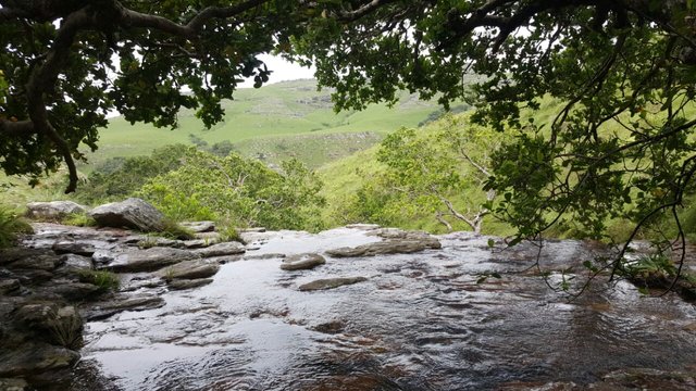 Nature Pool View.jpg